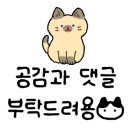 알리스테이 이미지
