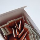 차바이오건강 비타채움3000 후기｜영국산 비타민C 3000mg 간편하게 챙기기