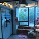 노엘동물병원 이미지