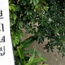 뿌리게스트하우스 이미지