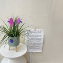 사파동414 이미지