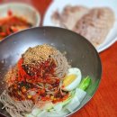 송원막국수 | 가평역 현지인 맛집 송원막국수 내돈내산 후기