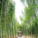 끄티공원 이미지