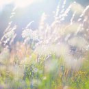 📘 장편소설 《묵언 씨, 백지를 걷다》— 6회. 카페 ‘달빛독서회’, 말 많은 세상에 첫발을 내딛다 이미지