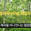 낙동강변로3-3 이미지