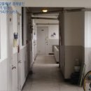 군산푸른솔초등학교 이미지