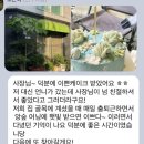 앙숲 공방 일상 이모저모 | 떡공방 일상