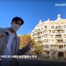 마이관광여행사