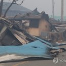 영양오토바이 이미지