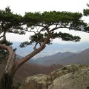 상대농장 이미지