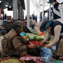 거진종합운동장 이미지