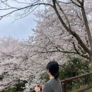 월곡 하늘공원 이미지