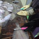 가-8 | 반건조생선 제수용생선 생선 굽는법 여수 가볼만한곳 중도매인8호(여수바다) 솔직후기