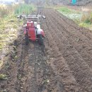 기계한우농장 이미지