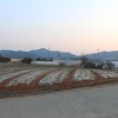 봉대경로당 | 봉대지맥(1구간) : 봉대산-작은 봉태산-검무산-동산 구간