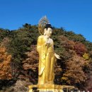 법주사성보박물관 이미지