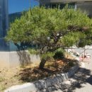 로그밸리 이미지