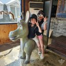 태주목장 이미지