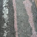 지리산가온누리민박 | 등산하고 먹어서 더 미쳤던.. 지리산버거 솔직후기(벚꽃뷰 맛집)