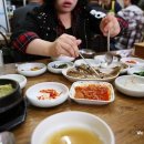 제주고가네 Daum카페