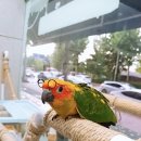 가든조류원 이미지