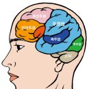 지문코칭 상담사 이미지