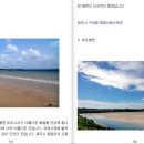 피노엔키오 이미지