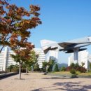 문경게이트볼장 이미지