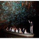 뉴질랜드 북섬 와이카토의 와이토모 동굴(Waitomo Caves) 이미지