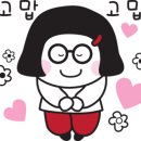 아임독 애견샵 이미지