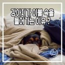 내마음속동물병원 이미지