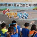 플랫폼디앤피