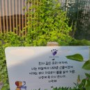 포포즈 반려동물 장례식장 세종점 이미지