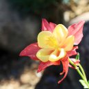 사명대사생가로 이미지