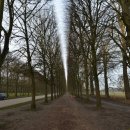 신사동-25 이미지