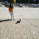 파라독스글램핑 이미지