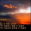 귀뚜라미가 울면 24도랍니다 (귀뚜라미 - 안치환) 이미지