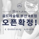 골드 레슬링 이미지