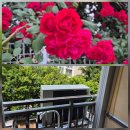 금곡주공4단지 이미지