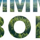 음밥협동조합 이미지