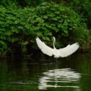 평생교육원 이미지