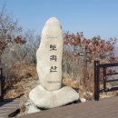 호돌이목장 이미지