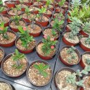 반석농장 이미지