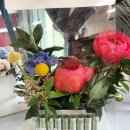 아띠-Lflower 이미지