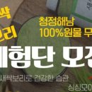 보리애플 네이버블로그