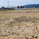 동서 공인중개사무소 이미지