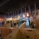 해바라기참치회 | 사상술집추천 : 숨겨진 이자카야에서 만난 참치회, 완전 대박!