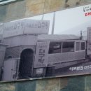 해운대대구탕 Daum카페