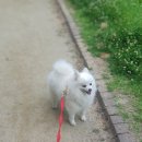 두리동물병원 이미지