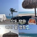 관성솔밭해변 | 경북 경주 애견동반 노지캠핑장 단돈 만원인 ' 관성솔밭해변' 솔직후기 내돈내산 대형마트 추천